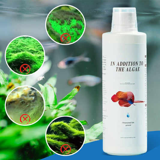 ⏳Limited time 50% discount⏳Effective algae control for aquariums