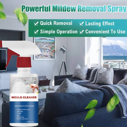 🔥Buy 2 Get 1 Free 🔥Mould & Mildew Removing Foam Spray