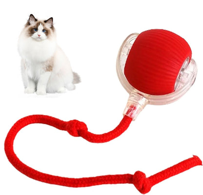 🔥Christmas Hot Sale 50% OFF 🎁Smart Automatic Rolling Pet Ball