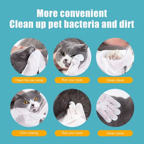 HOT SALE🔥 Pet Clean Wash Free Gloves