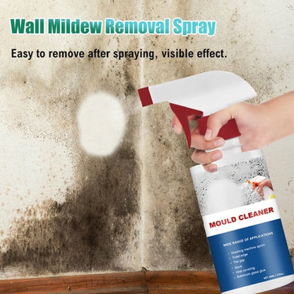 🔥Buy 2 Get 1 Free 🔥Mould & Mildew Removing Foam Spray