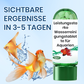 ⏳Begrenzte Zeit 50% Rabatt💥🚀Kaufen 5 und erhalten 5 gratis♻️💧Leistungsstarke Wasserreinigungstablette für Aquarien