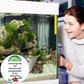 ⏳Begrenzte Zeit 50% Rabatt💥🚀Kaufen 5 und erhalten 5 gratis♻️💧Leistungsstarke Wasserreinigungstablette für Aquarien
