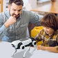 🎁✨😍 Kostenloser Versand + 50 % Rabatt! 🔥 Interaktiver STEM Smart-Roboterhund – Spaß & Lernen in einem! 🤖🎉