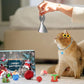 🎄🎁2025 Weihnachts-Countdown-Adventskalender mit Spielzeug für Katzen und Hunde🐾🥳