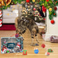 🎄🎁2025 Weihnachts-Countdown-Adventskalender mit Spielzeug für Katzen und Hunde🐾🥳