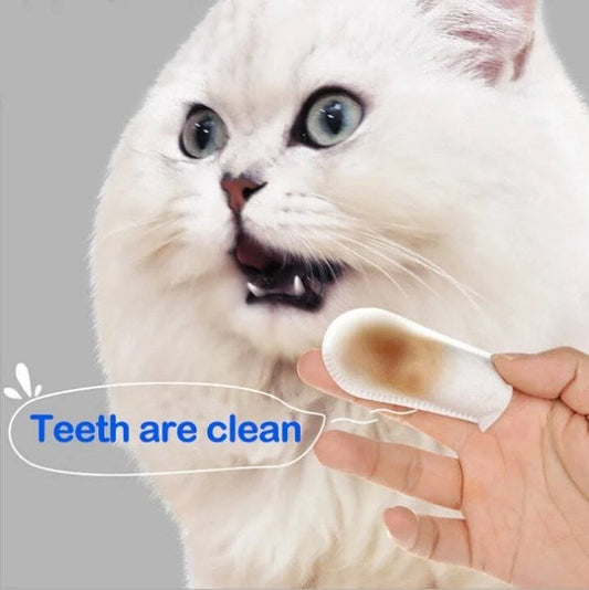 Fingertücher zur Zahnreinigung von Haustieren